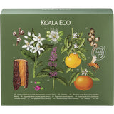 Koala Eco Clean & Safe Gift Pack Sanitiser, H/Wash, Fruit & Veg Wash