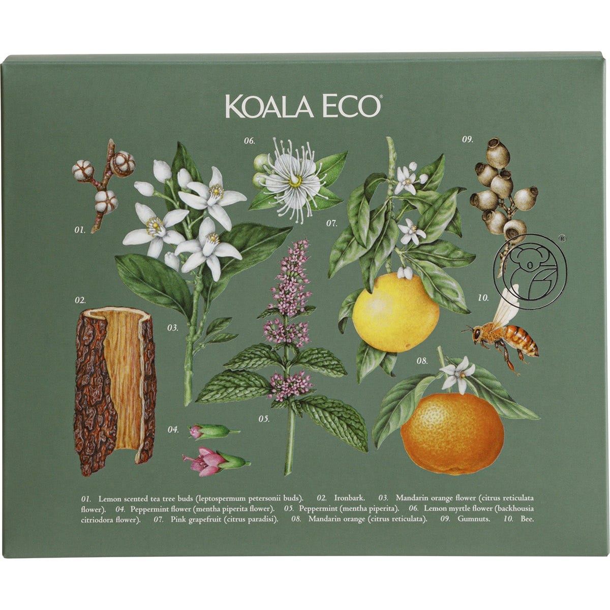 Koala Eco Gift Pack - Hand Wash, Laundry Wash & Dish Soap