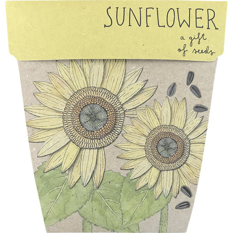 Gift of Seeds Sunflower