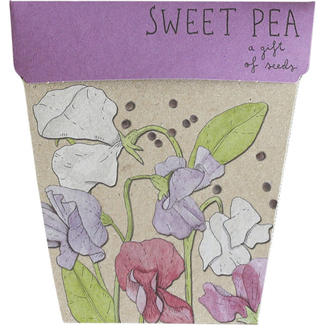 Gift of Seeds Sweet Pea