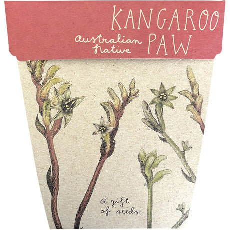 Gift of Seeds Kangaroo Paw