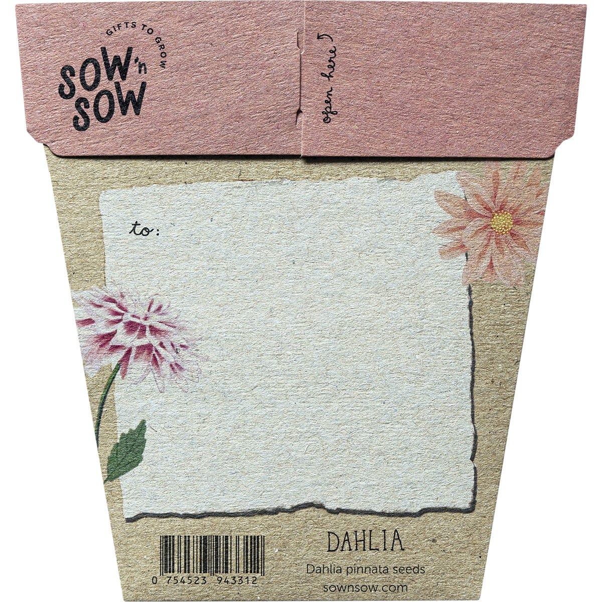 Sow 'N Sow Gift of Seeds Dahlia