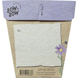Sow 'N Sow Gift of Seeds Daisies Native