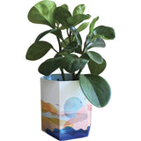 Sow 'N Sow Pop Up Pot Beach Small 22cm