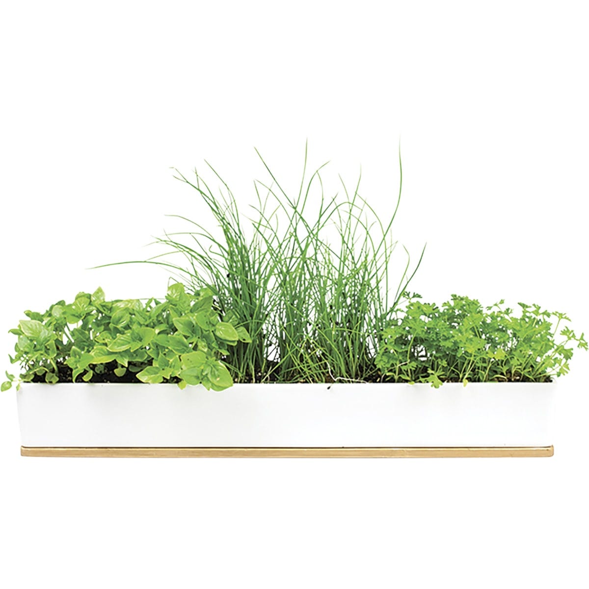 Urban Greens Windowsill Grow Kit Microherbs 45x8x6cm