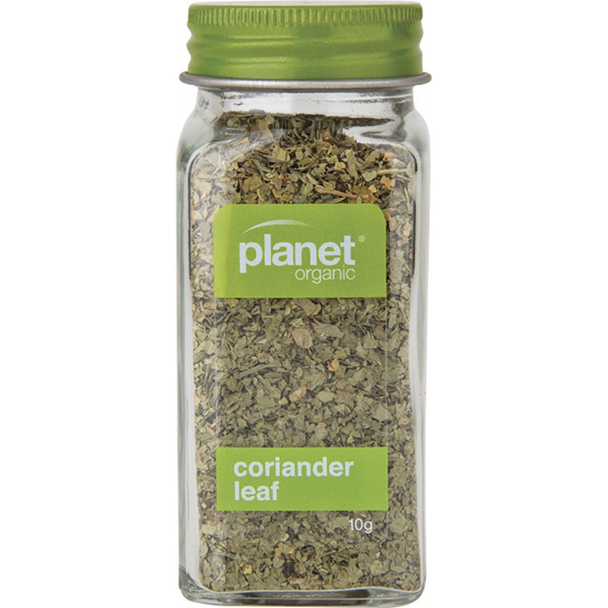 Herbs Coriander Leaf