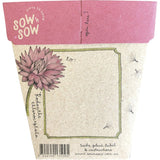 Sow 'N Sow Gift of Seeds Everlasting Daisy