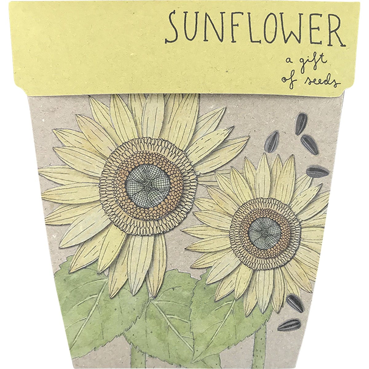 Gift of Seeds Sunflower