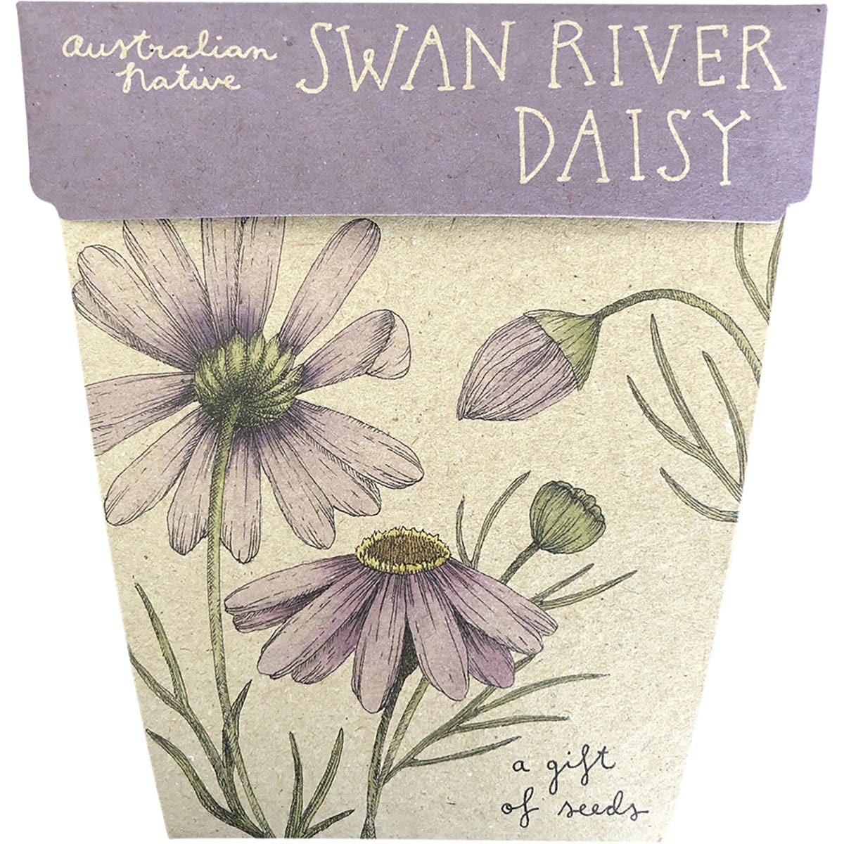 Gift of Seeds Swan River Daisy